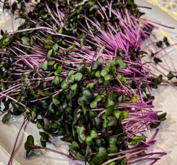 MT Wild Roots Red Cabbage Microgreens
