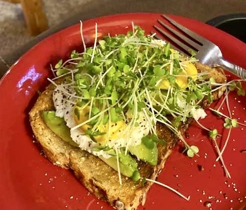 Mustard Microgreens on Avocado Toast